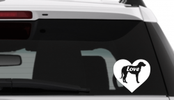 irish wolfhound-white-3